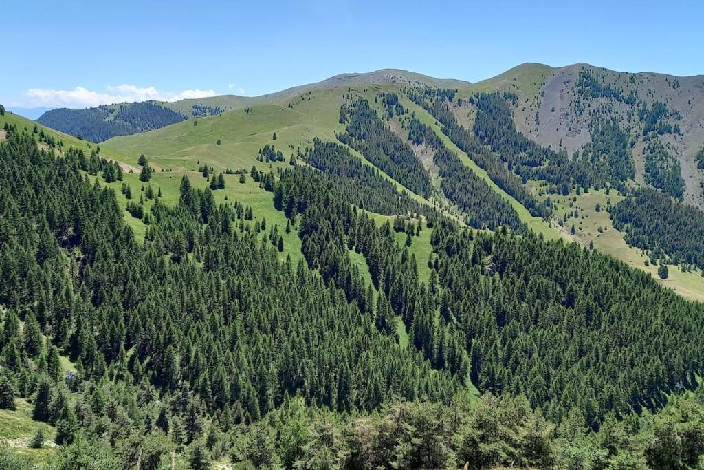 Studio Au Coeur De Valberg A Proximite Des Pistes מראה חיצוני תמונה
