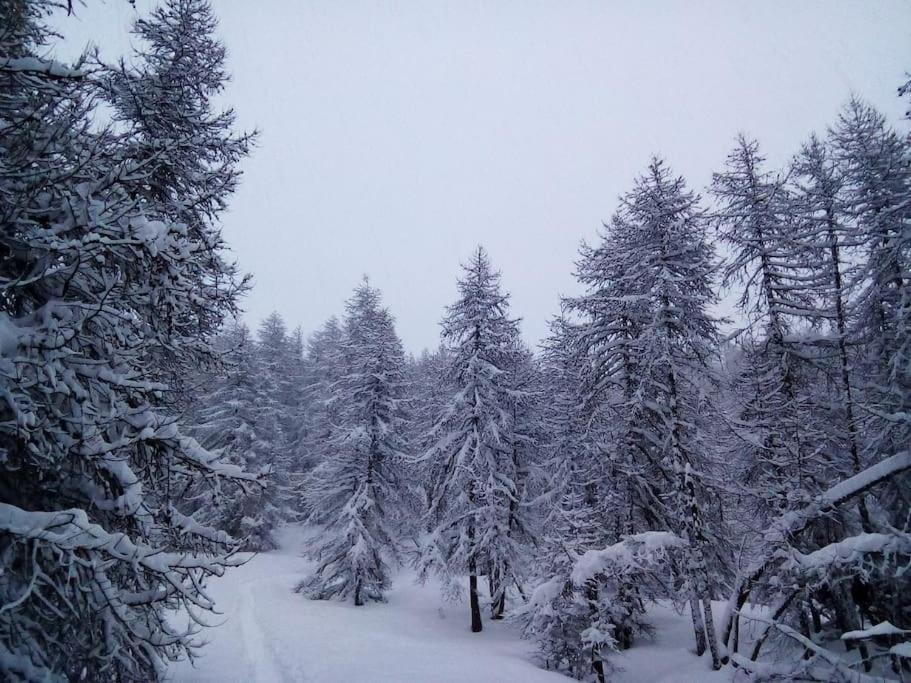 Studio Au Coeur De Valberg A Proximite Des Pistes מראה חיצוני תמונה